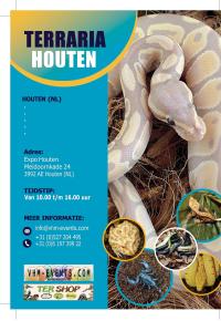 Reptile and insect exhibition in Houten, Netherlands.