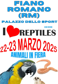 Mostra di animali a Fiano Romano, marzo 2025.