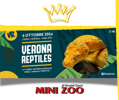 VERONA REPTILES - 6 OTTOBRE 2024